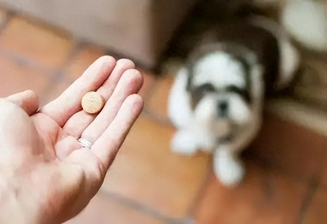 狗狗肠胃炎要断食断水多少天（没用，要对症下药）