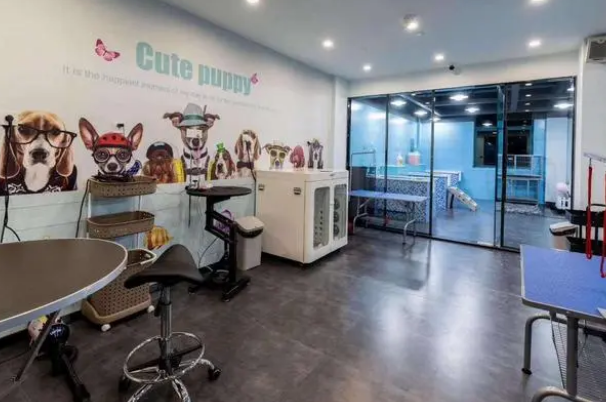 开一个宠物店赚钱吗